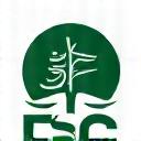 FSC-logo, grønn og hvit, symboliserer ansvarlig skogforvaltning